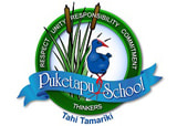Puketapu-school