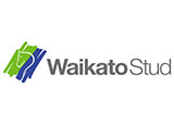 Waikato-stud